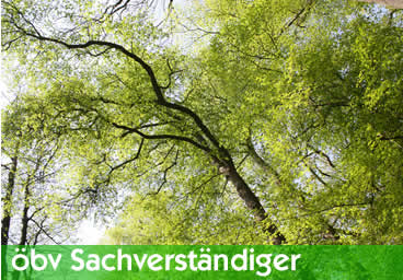 oebv-Sachverständiger