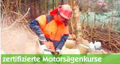 Motorsägenkurse